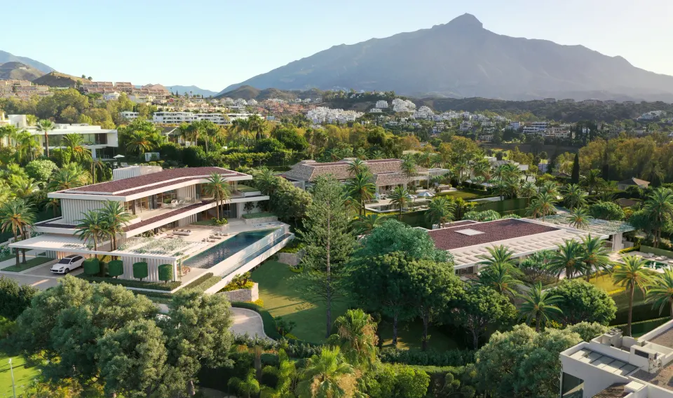 Cerquilla 39B — Plot in La Cerquilla