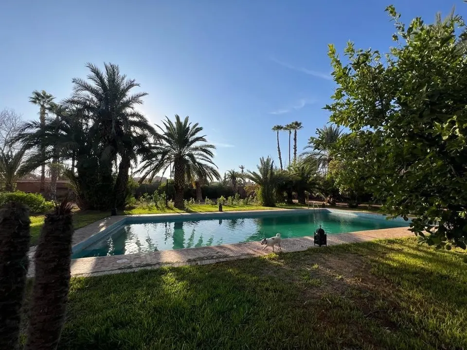 Villa with a pool and palm garden, Marrakech
