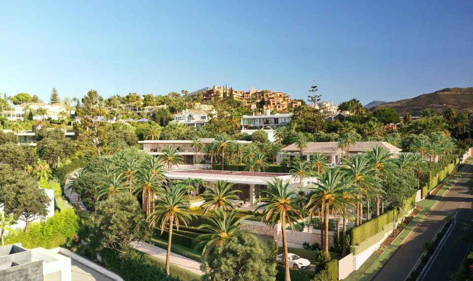 Cerquilla 39B — Plot in La Cerquilla