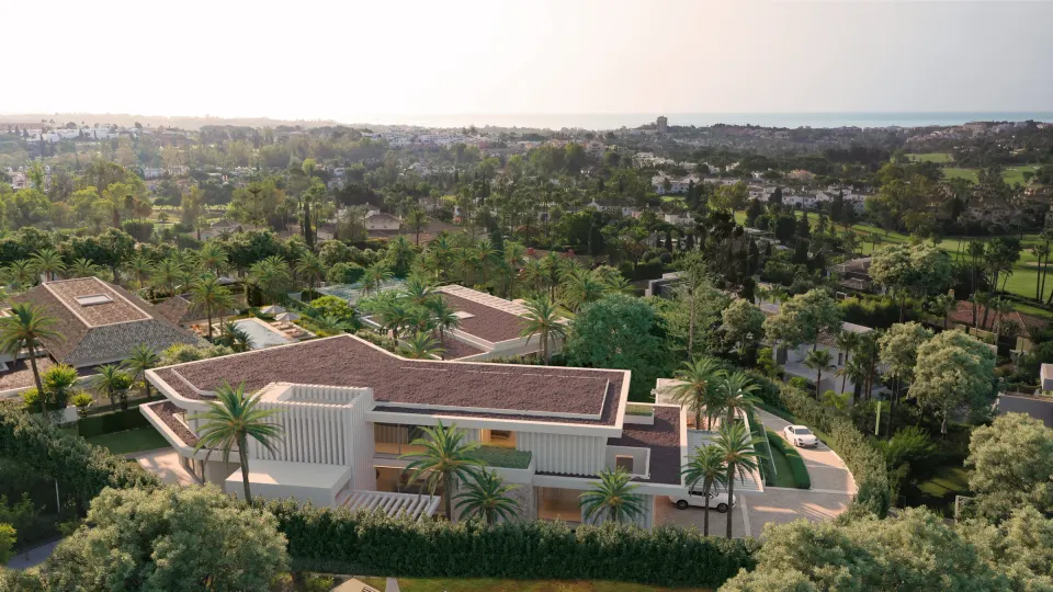 Cerquilla 39B — Plot in La Cerquilla